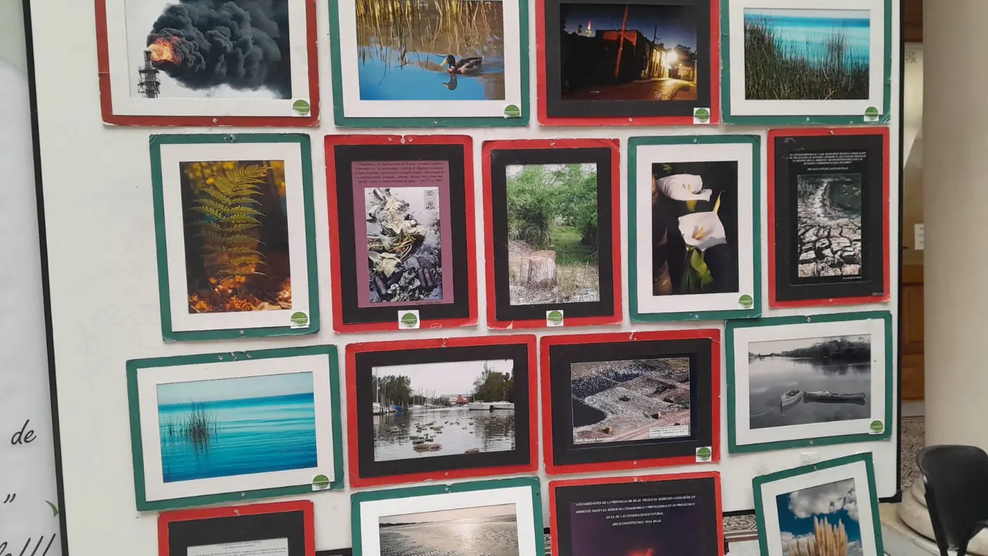 Pared de la muestra con fotografías enmarcadas del bosque y los arroyos de la región.